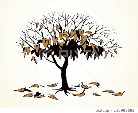 Vector drawing. Withered tree with fallen leaves 116998692