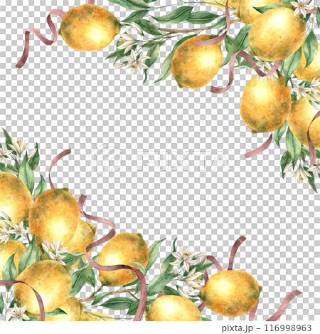 Frame of yellow lemons, leaves, flowers and burgundy silk ribbons. Isolated watercolor illustration in vintage style. Handmade composition for decoration of cards, wedding design, invitations, textile Frame of yellow lemons, leaves, flowers and burgundy silk ribbons. Isolated watercolor illustration in vintage style. Handmade composition for decoration of cards, wedding design, invitations, textile 116998963