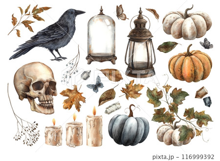 Pumpkins, raven, skull, dry leaves, candle, crystal, butterfly, lantern, florarium. Set of autumn illustrations for Halloween. For the design of cards, posters, Thanksgiving, Halloween, witchcraft 116999392