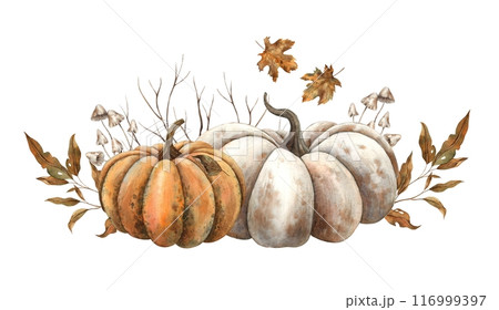White and orange pumpkin with leaves, mushrooms and dry branches. Botanical watercolor composition drawn in autumn style. For decoration, cards, autumn posters, Thanksgiving, Halloween, packaging 116999397