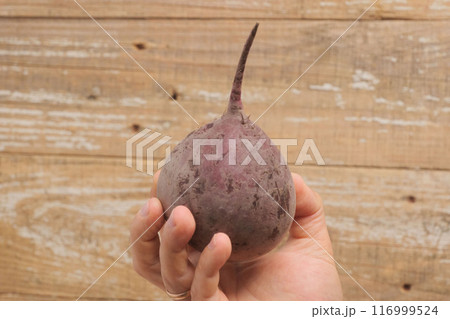 A Beautiful Vibrant Beetroot Being Held in Hand Against a Detailed Rustic Background A Beautiful Vibrant Beetroot Being Held in Hand Against a Detailed Rustic Background 116999524