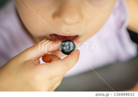 Close up view of little girl eats fresh blueberry. Summer organic food 116999632