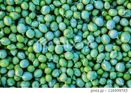Green seeds of sweet garden peas without pods, husked peas, texture for background. Green seeds of sweet garden peas without pods, husked peas, texture for background. 116999785
