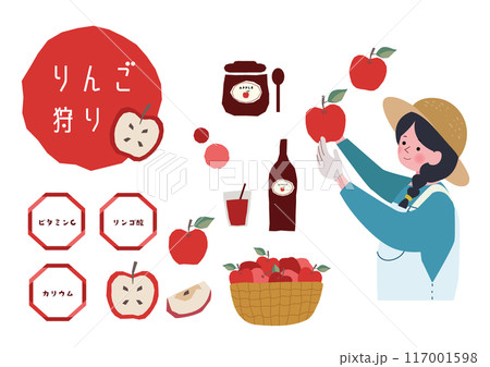 りんごを竜角する女性とりんごの栄養素のイラストセット 117001598
