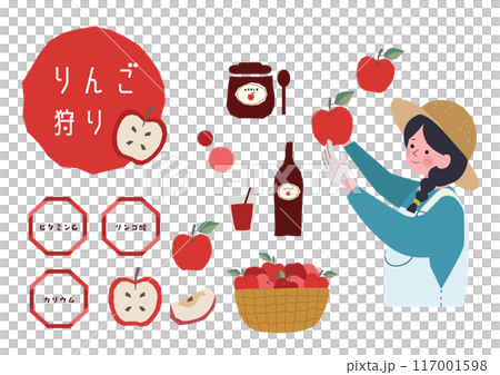 りんごを竜角する女性とりんごの栄養素のイラストセット 117001598