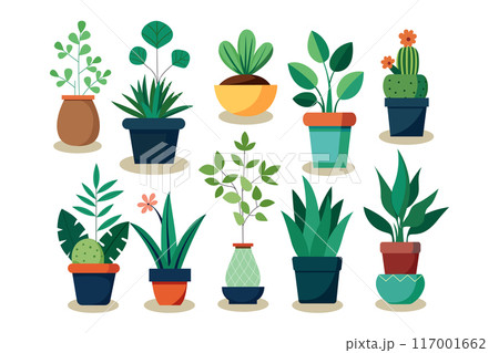 Potted plants set. Interior houseplants in pots.  117001662