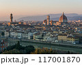 General view of Florence, Italy 117001870
