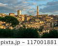 Medieval city of Siena, Italy 117001881