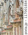 Medieval city of Siena, Italy 117001884
