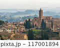 Medieval city of Siena, Italy 117001894