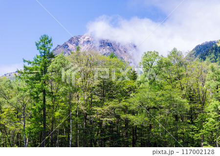 日本屈指の山岳リゾート　新緑の上高地 117002128