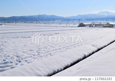 雪国の田園風景 山形県庄内 117002281