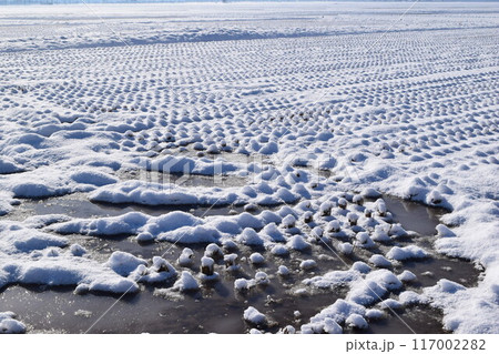 雪国の田園風景 山形県庄内 雪国の田園風景 山形県庄内 117002282