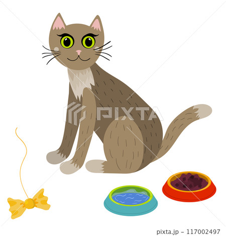Cute sitting cat with dinner and toy, collection in flat style isolated on white Cute sitting cat with dinner and toy, collection in flat style isolated on white 117002497