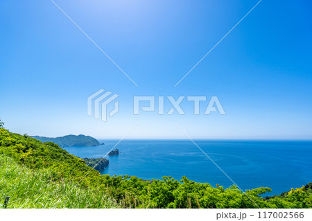 夕日ヶ丘展望広場　駿河湾の青い海原や波勝崎などを望む 117002566