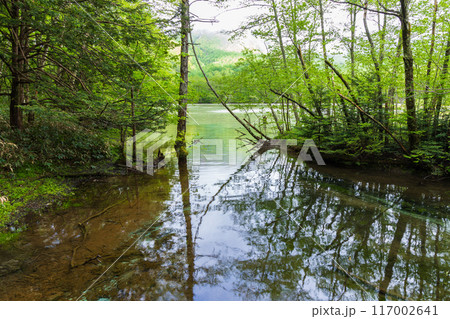 日本屈指の山岳リゾート　新緑の上高地 117002641