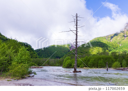 日本屈指の山岳リゾート 新緑の上高地 中千丈沢の押し出し 日本屈指の山岳リゾート 新緑の上高地 中千丈沢の押し出し 117002659