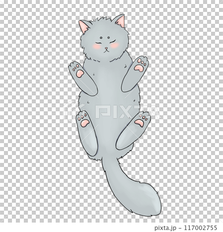 Gray cat sleeping on its back, simple illustration 117002755