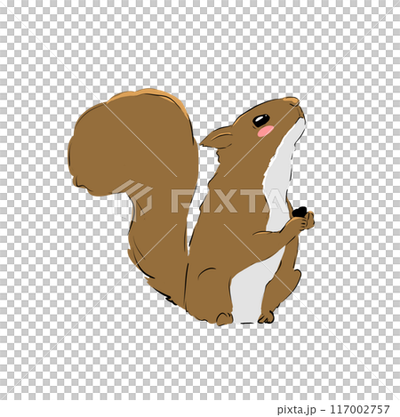 Brown squirrel with cute blush illustration, simple digital style	 117002757