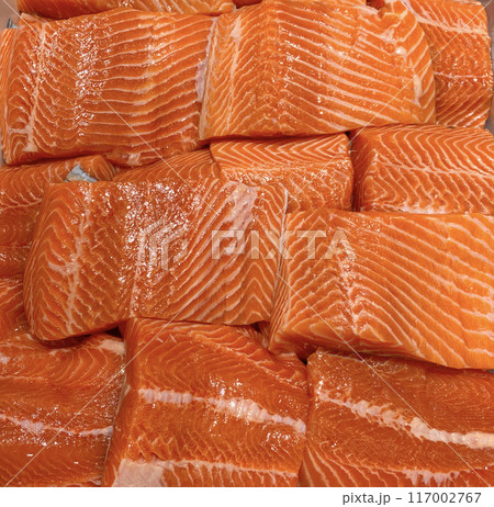 Top view of fresh salmon fillet displayed in wet market. Seafood concept Top view of fresh salmon fillet displayed in wet market. Seafood concept 117002767