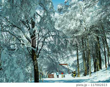 白馬岩岳スノーフィールド 長野県白馬村 白馬岩岳スノーフィールド 長野県白馬村 117002813
