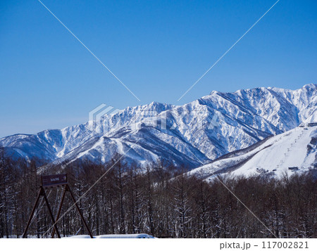 白馬岩岳スノーフィールド　長野県白馬村 117002821