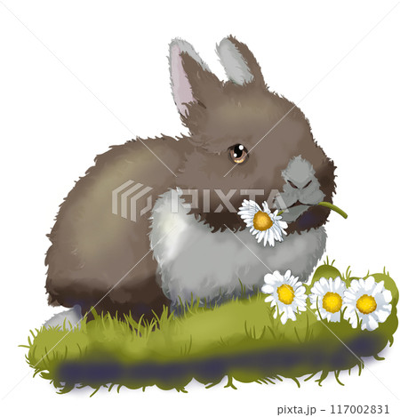 Brown rabbit in cartoon anime style chews daisies on the grass 117002831
