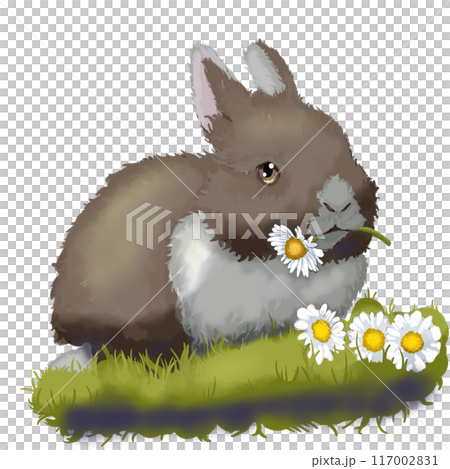 Brown rabbit in cartoon anime style chews daisies on the grass 117002831