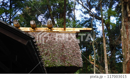 伊勢神宮 117003015