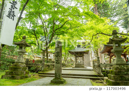 岐阜県揖斐川町　新緑の谷汲山華厳寺の参道にある百度石 117003496