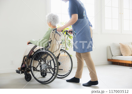 高齢者と介護士の女性 高齢者と介護士の女性 117003512