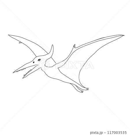 Vector flat outline pterodactyl dinosaur Vector flat outline pterodactyl dinosaur 117003535