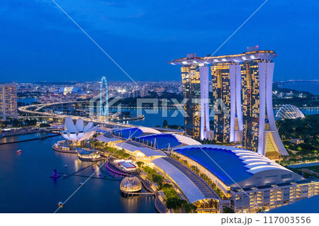 シンガポール絶景 上空から見たマリーナベイの夜景 シンガポール絶景 上空から見たマリーナベイの夜景 117003556