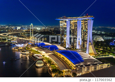 シンガポール絶景　上空から見たマリーナベイの夜景 117003562