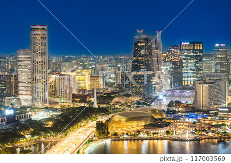 マーライオンパークが見えるシンガポール夜景 117003569