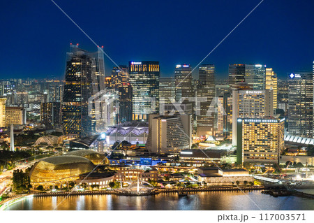 マーライオンパークが見えるシンガポール夜景 117003571