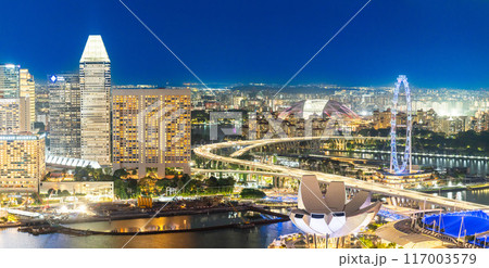 マリーナベイのビルが立ち並ぶシンガポール夜景 117003579