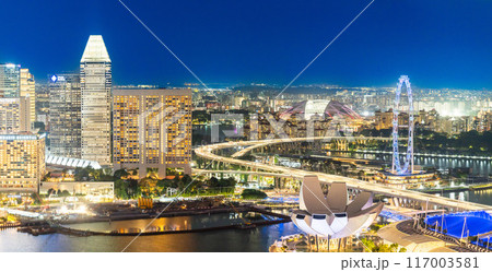 都市風景 シンガポールフライヤーが輝く夜景パノラマ 都市風景 シンガポールフライヤーが輝く夜景パノラマ 117003581