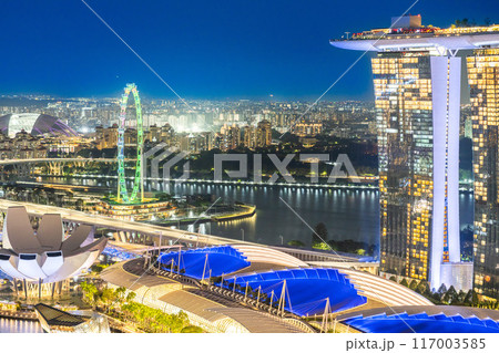 MBS とシンガポールフライヤーが輝く夜景 117003585