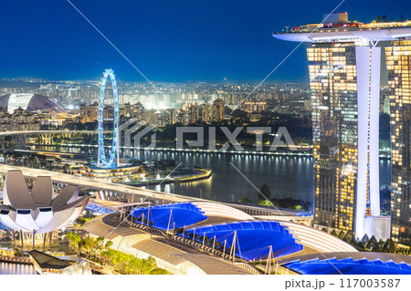 MBS とシンガポールフライヤーが輝く夜景 117003587