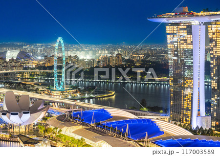 MBS とシンガポールフライヤーが輝く夜景 117003589