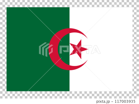 Flag of Algeria Flag of Algeria 117003935