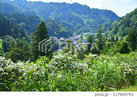 清津川沿い里山の風景　国道353号からの眺め　新潟県十日町市 117004763