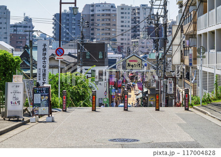 東京都 谷中ぎんざ・谷中銀座商店街 夕やけだんだん 谷根千散歩コース 東京都 谷中ぎんざ・谷中銀座商店街 夕やけだんだん 谷根千散歩コース 117004828