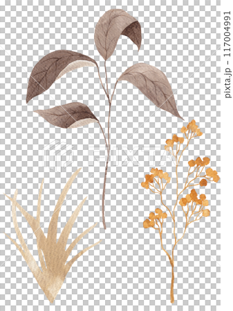 Watercolor painting of autumn plants. 117004991