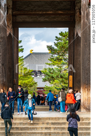 【奈良県】南大門越しに見える東大寺の中門 117005056