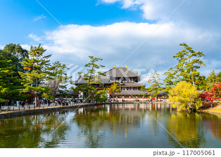 【奈良県】鏡池越しに見る東大寺の大仏殿 117005061