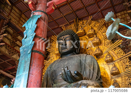 【奈良県】迫力を感じる東大寺の大仏 117005086