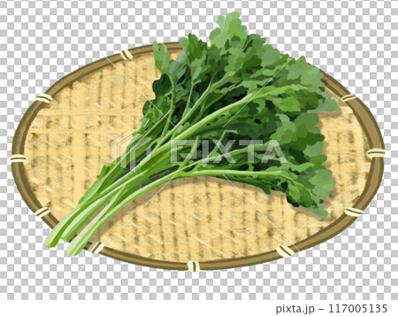 Shungiku (with colander) Shungiku (with colander) 117005135