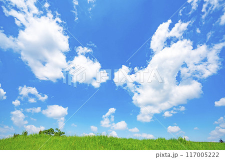 夏の青空と草原 117005222